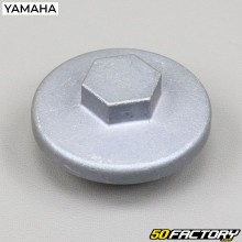 Drain plug Yamaha SR and TW  125