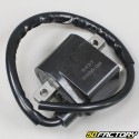 CDI coil box Suzuki RMX,  SMXTSX et  TS 50