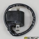 CDI coil box Suzuki RMX,  SMXTSX et  TS 50