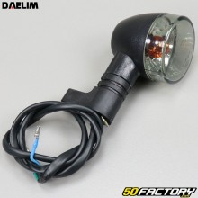 Rear right indicator Daelim Daystar 125 (2000 - 2016)