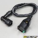 Accensione elettronica (cono grande) 12V completa di box CDI e bobina di alta tensione Peugeot 103 (kit)