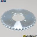 Rear sprocket 41 steel teeth Sym Wolf classic 125 (2004 to 2007)