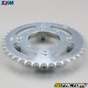 Rear sprocket 41 teeth steel 428 Sym Wolf SB 125 (2011 to 2017)