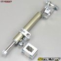 Ammortizzatore di sterzo Honda T.RX 250, 400 ... Semplifica 11 clic grigio ricondizionabile