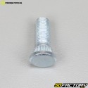 Wheel nuts and studs Yamaha Blaster 200 Moose Racing gray (kit)