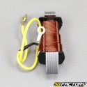 17W Puch Maxi Lighting Coil