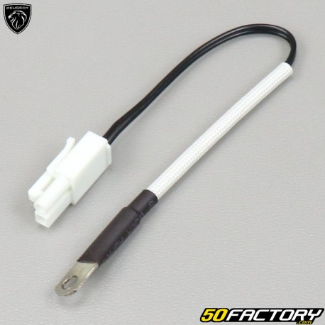 Sonda di temperatura Peugeot Citystar