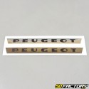 Pegatinas de cárter Peugeot (fondo cromado)