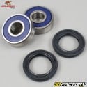 Kawasaki Z front wheel bearings and seals All Balls