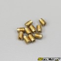 Aspersores (kit de ajuste) Gurtner 6mm 54 PARA 72