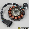 Ignition Stator  Piaggio Typhoon,  NRG  et  Aprilia SR 50 2T (from 2018)