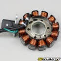 Ignition Stator  Piaggio Typhoon,  NRG  et  Aprilia SR 50 2T (from 2018)