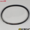 Belt Aprilia SR, Scarabeo,  Sportcity,  Derbi,  Gilera... 18,7x810 mm Malossi X Special Belt