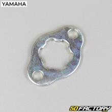 Placa seguro de Piñón salida de caja Yamaha YFM Raptor 90 (2009 - 2013)