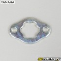 Plaque de pignon de sortie de boîte Yamaha YFM Raptor 90 (2009 - 2013)