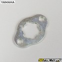 Plaque de pignon de sortie de boîte Yamaha YFM Raptor 90 (2009 - 2013)