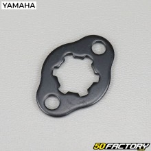 Plaque de pignon de sortie de boîte Yamaha YFM Raptor 90 (2016)
