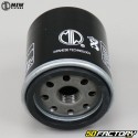 PO22003 oil filter Aeon, PGO, Polarisâ € ¦ MIW