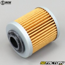 Can-Am DS 14002 ... MIW BO450 Oil Filter