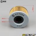 Filtro de aceite KY7004 Kymco Venox 250 MIW MEIWA