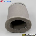 Air filter Kymco Pulsar 125 (2008 - 2014)