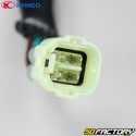 Luz traseira direita Kymco MXU 250, 300 e 500