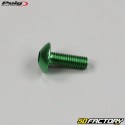 5x15 mm screws domed head BTR Puig green (set of 6)