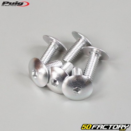 Tornillos de 6x15 mm cabeza abombada BTR Puig gris (juego de 6)