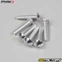 Tornillos de 5x25 mm cabeza abombada BTR Puig gris (juego de 6)