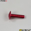 6x25 mm screws domed head BTR Puig red (set of 6)