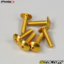 Viti BTR a testa bombata Puig in oro 6x25 mm (set di 6)