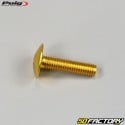 6x25 mm gold Puig domed head BTR screws (set of 6)