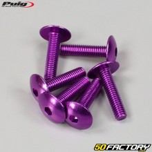 6x25 mm screws Puig domed head BTR purple (set of 6)
