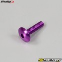 6x25 mm parafusos Puig cabeça abobadada BTR roxo (conjunto de 6)