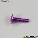 6x25 mm parafusos Puig cabeça abobadada BTR roxo (conjunto de 6)