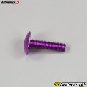 Tornillos de 6x25 mm Puig cabeza abombada BTR violeta (juego de 6)