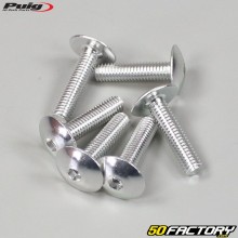 6x25 mm screws Puig domed head BTR gray (set of 6)