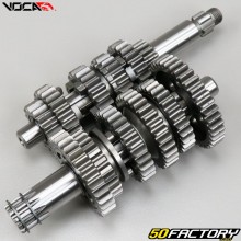 Gearbox AM6 minarelli Voca Racing