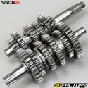 Gearbox Derbi Voca Racing