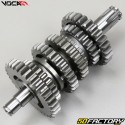 Gearbox Derbi Voca Racing