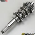 Gearbox Derbi Voca Racing