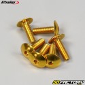 Tornillos BTR cabeza abombada Puig de 6x20 mm oro (juego de 6)