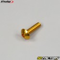 Tornillos BTR cabeza abombada Puig de 5x20 mm oro (juego de 6)