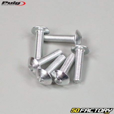 Tornillos de 5x20 mm cabeza abombada BTR Puig gris (juego de 6)