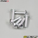 Tornillos de 5x20 mm cabeza abombada BTR Puig gris (juego de 6)