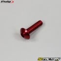 5x20 mm screws domed head BTR Puig red (set of 6)