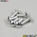 5x15 mm screws domed head BTR Puig gray (set of 6)