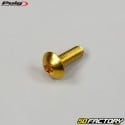 5x15 mm domed head BTR screws Puig gold-plated (set of 6)