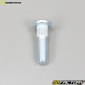 Lug nuts and wheel studs Honda TRX, Arctic Cat DVX 250, 300 ... Moose Racing (Kit)