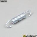 Leak tube spring 52mm pot Yasuni